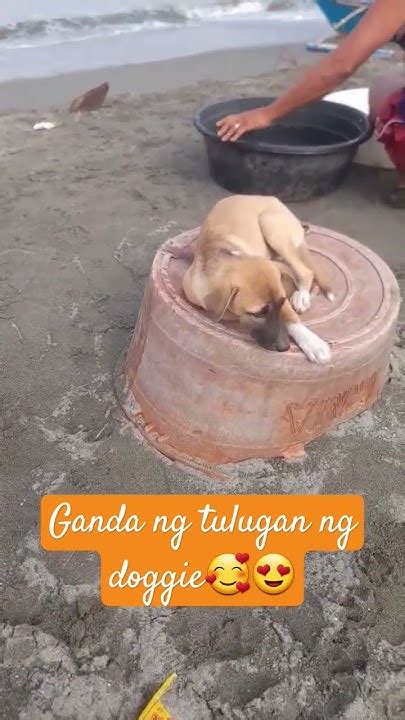 pilit pinipigil umungol sa sarap ng doggie|Pinay Umungol Sa Sarap Porn Videos .